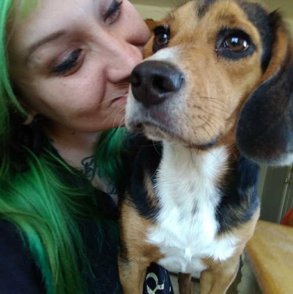 Meet your Posher, Nikki - Picture 2 of 2